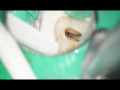 Dental RA Bursları Tungsten Karbür Bursları Dental Kullanım Düşük Hız